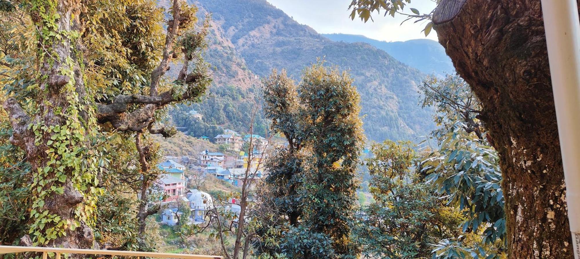 The Unmad - Dharamkot Bed and Breakfast Dharamshala Exteriör bild